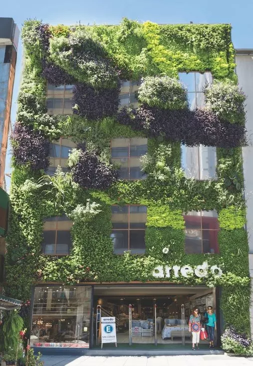 vertical wall garden outdoors in the world