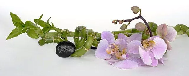 orchid balance energy Feng Shui Indoor Plants