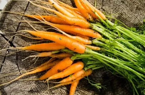 baby carrots growing vegetables