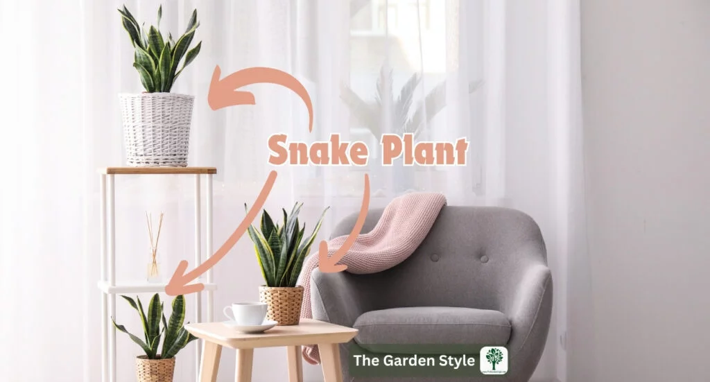 home decor ideas with indoor plants 3