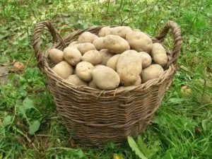 potatoes front