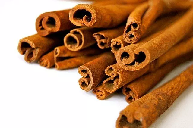 homemade rooting hormone cinnamon  root stimulant