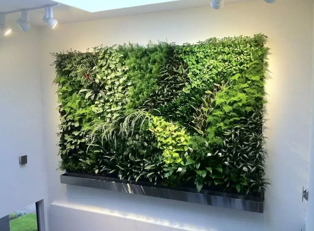 vertical garden walls with boston Ferns spider plants