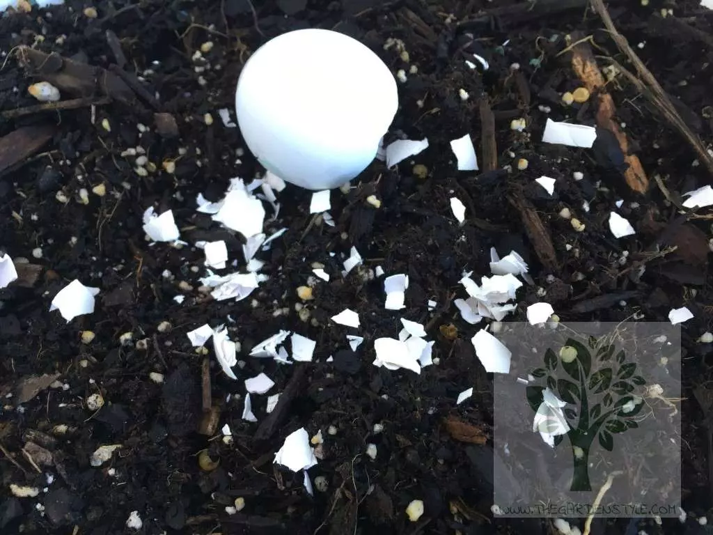 eggshell for plants compost