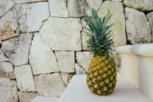 how to propagate pineapple guide