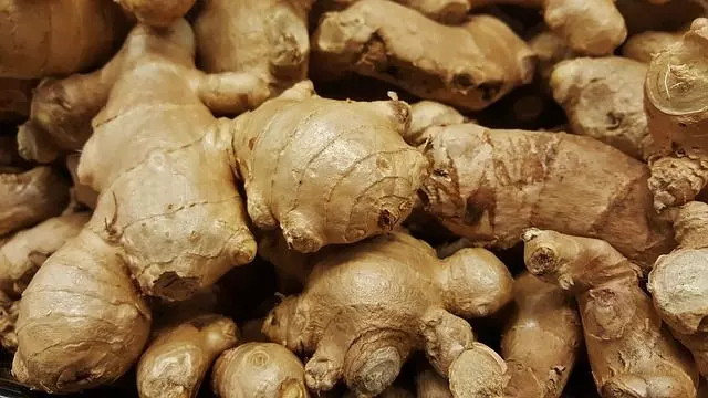 what is a rhizome ginger