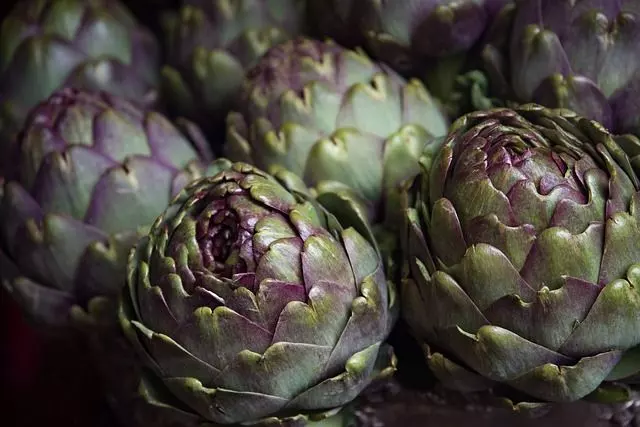 how to grow artichokes 4 different ways