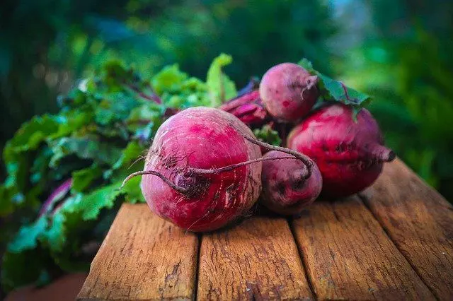 how to grow beets ultimate guide