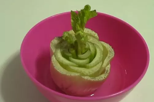 how to grow celery from a stalk