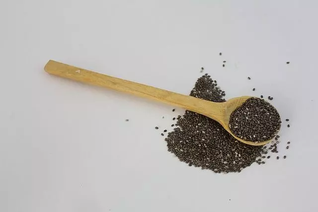 how to grow chia seeds step by step