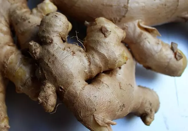 how to grow ginger root step by step