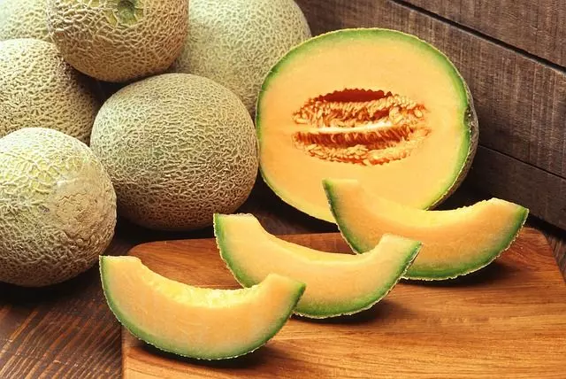 how to plant cantaloupe seeds ultimate guide