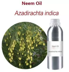 how to apply neem oil to plants guide