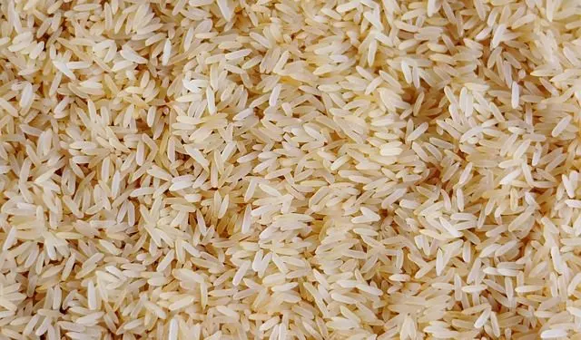 rice seeds