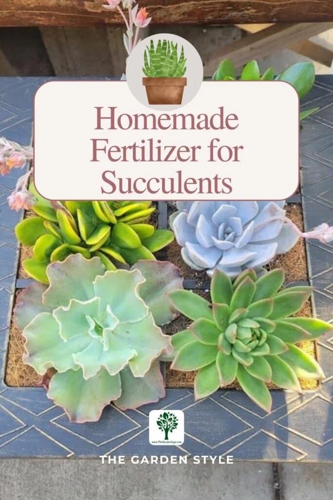 homemade fertilizer for succulents pin