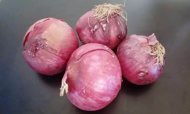 how long do red onions take to grow information