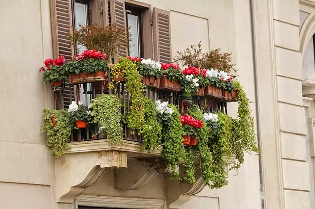 how to grow flowers on balcony colorful balconies