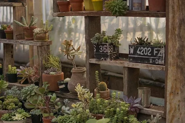 how to plant in pots everything you need to know
