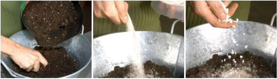 homemade soil for aloe vera