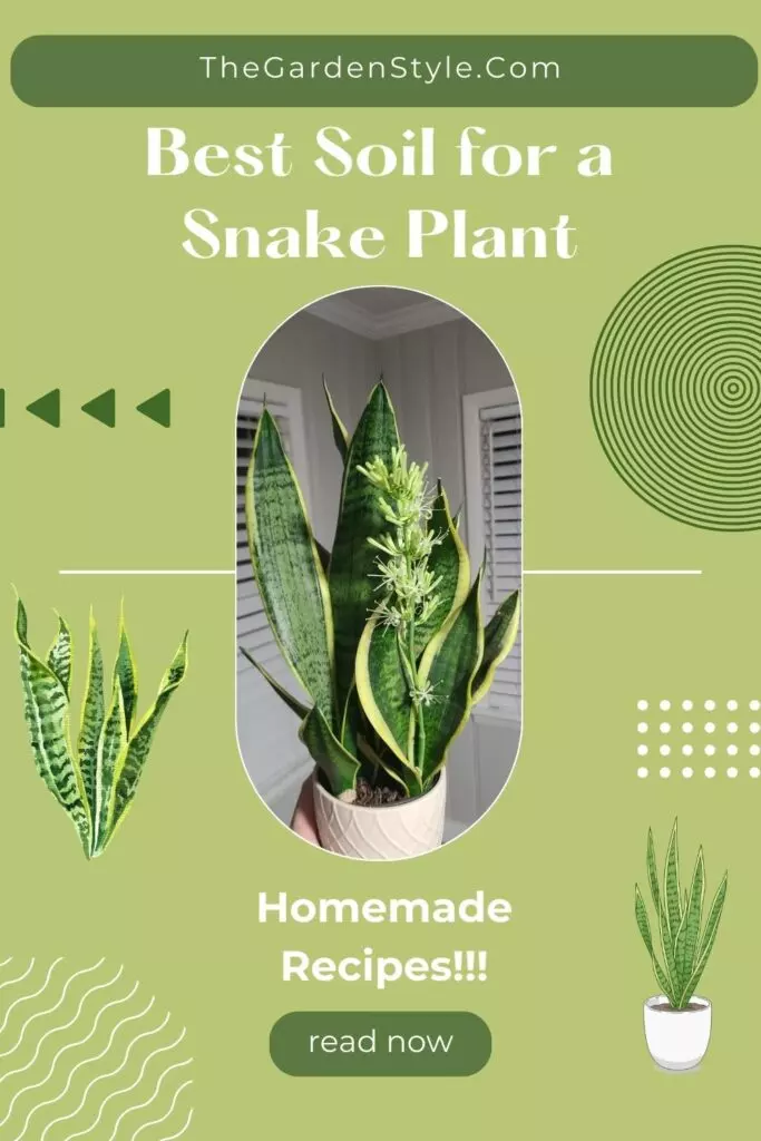 homemade soil recipe for a snake plant