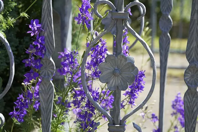 how to care for delphinium watering