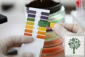 how to measure soil ph guide