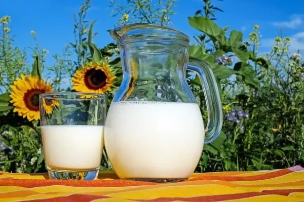 milk for plants benefits and how to use it
