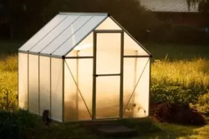 greenhouse for vegetable garden guide