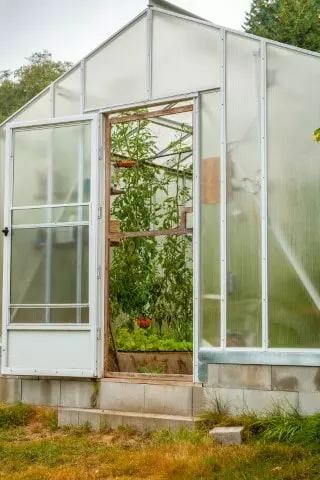greenhouse plant grow winter
