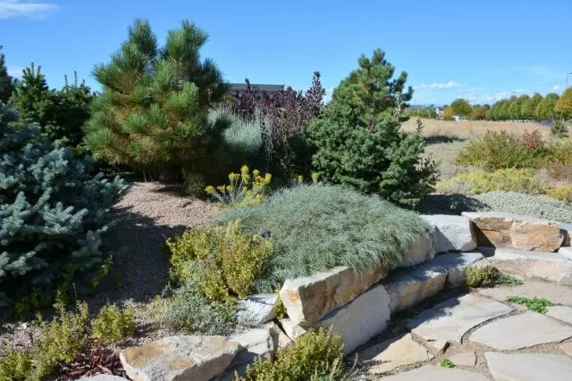 tips for xeriscaping