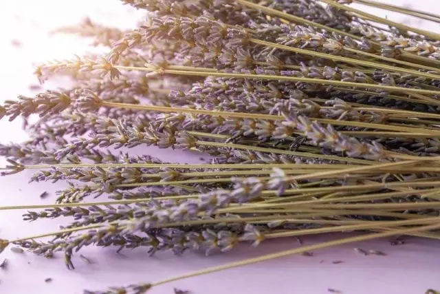 what to do with dried lavender