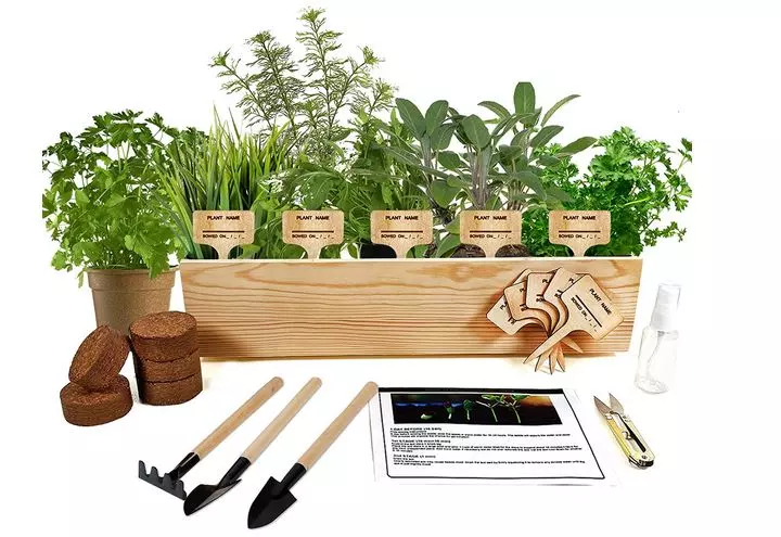 herb indoor kit a