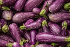 how and when to harvest fairy tale eggplant