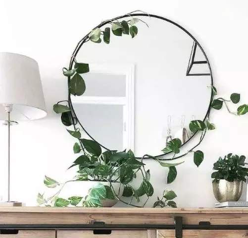 Feng Shui Plant Placement Hanging Plants and Feng Shui Best Feng Shui Plants.