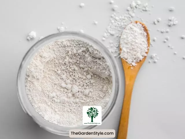 diatomaceous earth for gnats