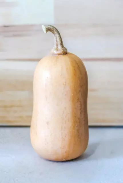 how to cure and store butternut squash