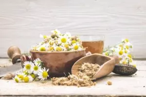 how to dry chamomile for tea 4 ways