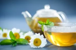 how to harvest chamomile tea when and how