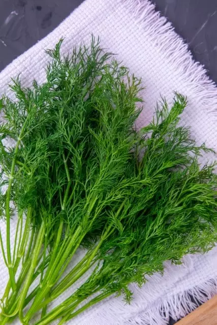 store cut dill after harvest