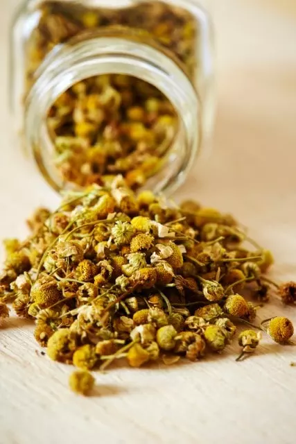 how to store dried chamomile