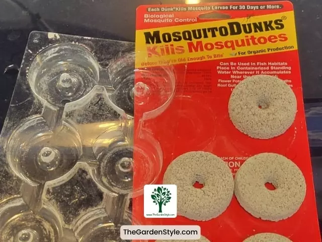 mosquitodunks for gnats