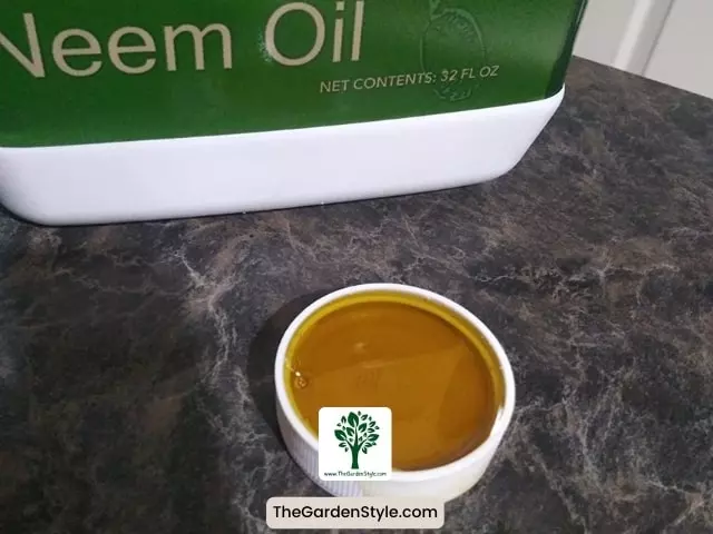 neem oil for fungus gnats
