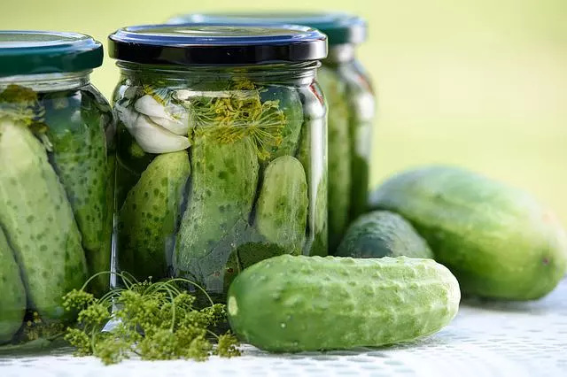 when to harvest cucumbers Boston Pickling Cucumbers, Straight Eight, Armenian, Lemon, Spacemaster, Pickling Northern
