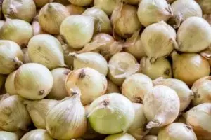 when to harvest walla walla onions