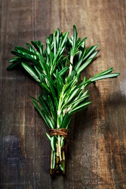 when to harvest rosemary