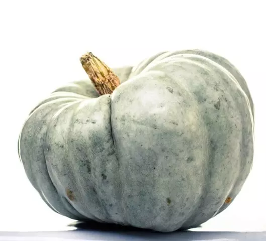 harvest moon squash grow care and harvest