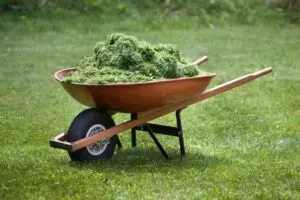 how to dispose grass clippings 8 ways