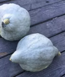 how to store blue hubbard squash