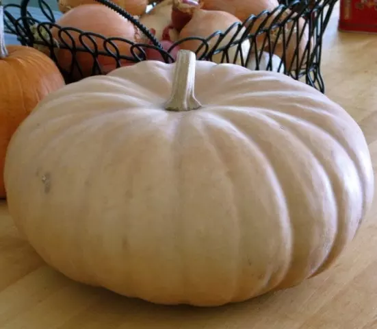 how and when to harvest long island cheese pumpkin