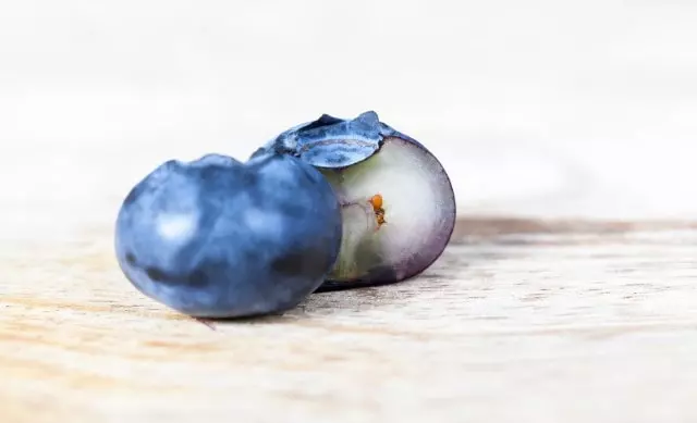 how to extract blueberry seeds